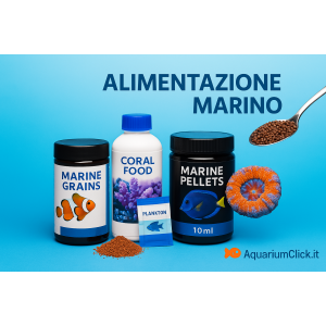 Marino