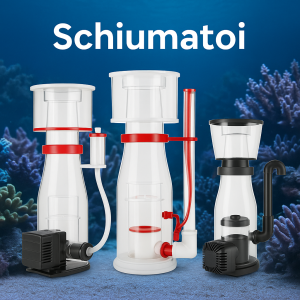Schiumatoi per Acquario Marino | aquariumclick.club