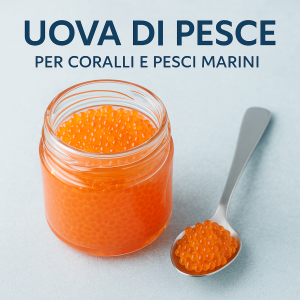 Uova di Pesce per Coralli e Pesci Marini | aquariumclick.club