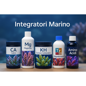 Marino