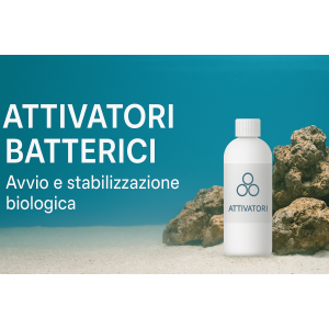 Attivatori batterici