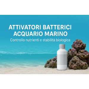 Attivatori batterici marini | Stabilità e controllo nutrienti