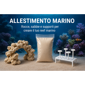 Marino