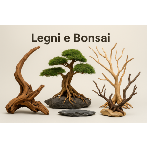 Legni e bonsai