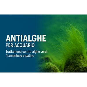 Antialghe