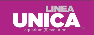 LINEA UNICA