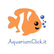 Aquarium Click